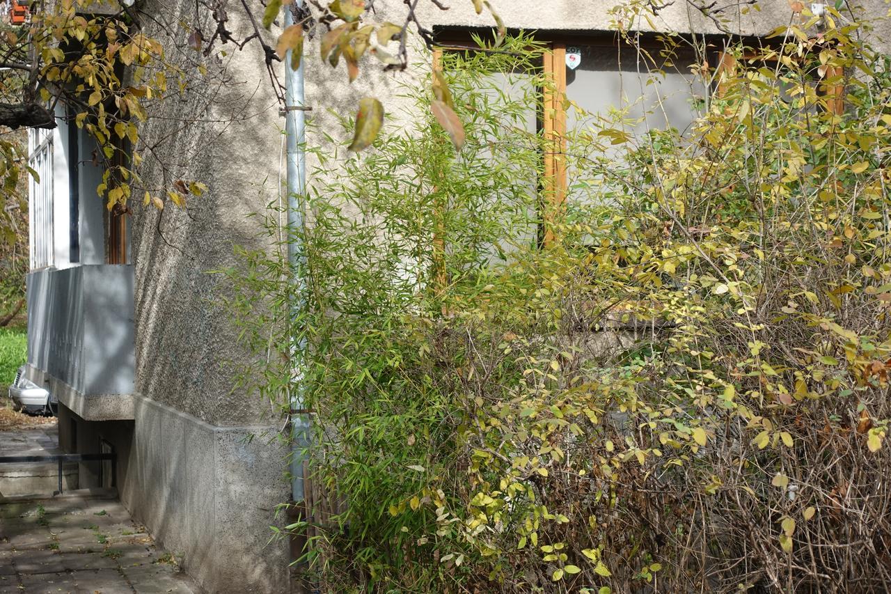 Wendy House Apartment โซเฟีย ภายนอก รูปภาพ
